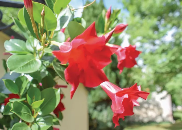 Σπίτι διακοπών Cozy In With Wifi Sahurs