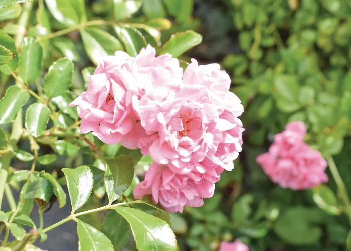 Cozy In With Wifi Σπίτι διακοπών *